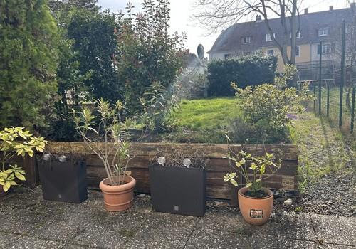 Terrasse + Garten 
