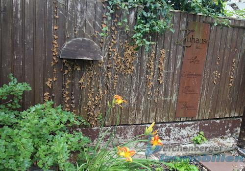 Garten.jpg (2)