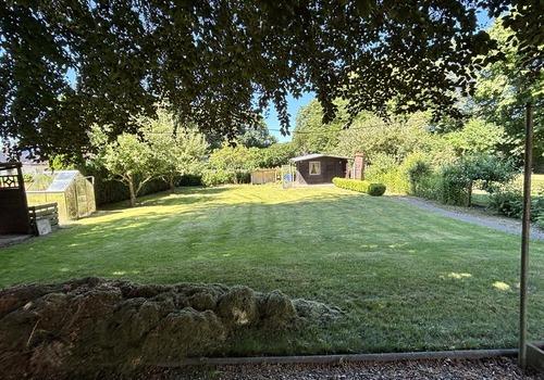 Blick in den Garten