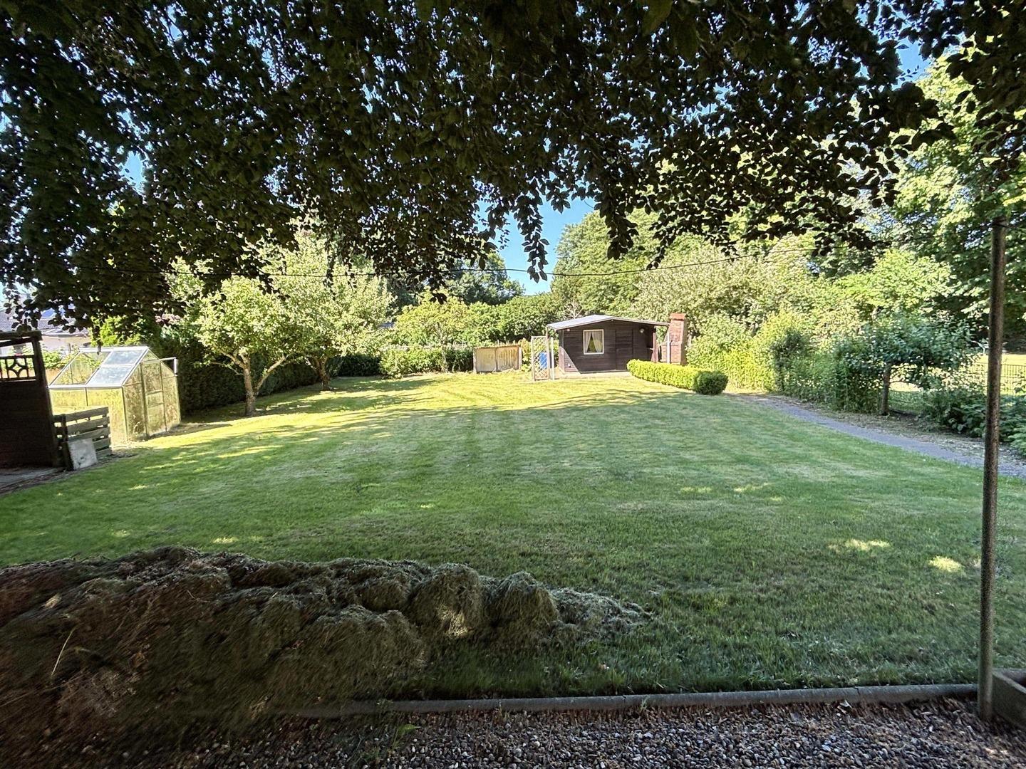 Blick in den Garten