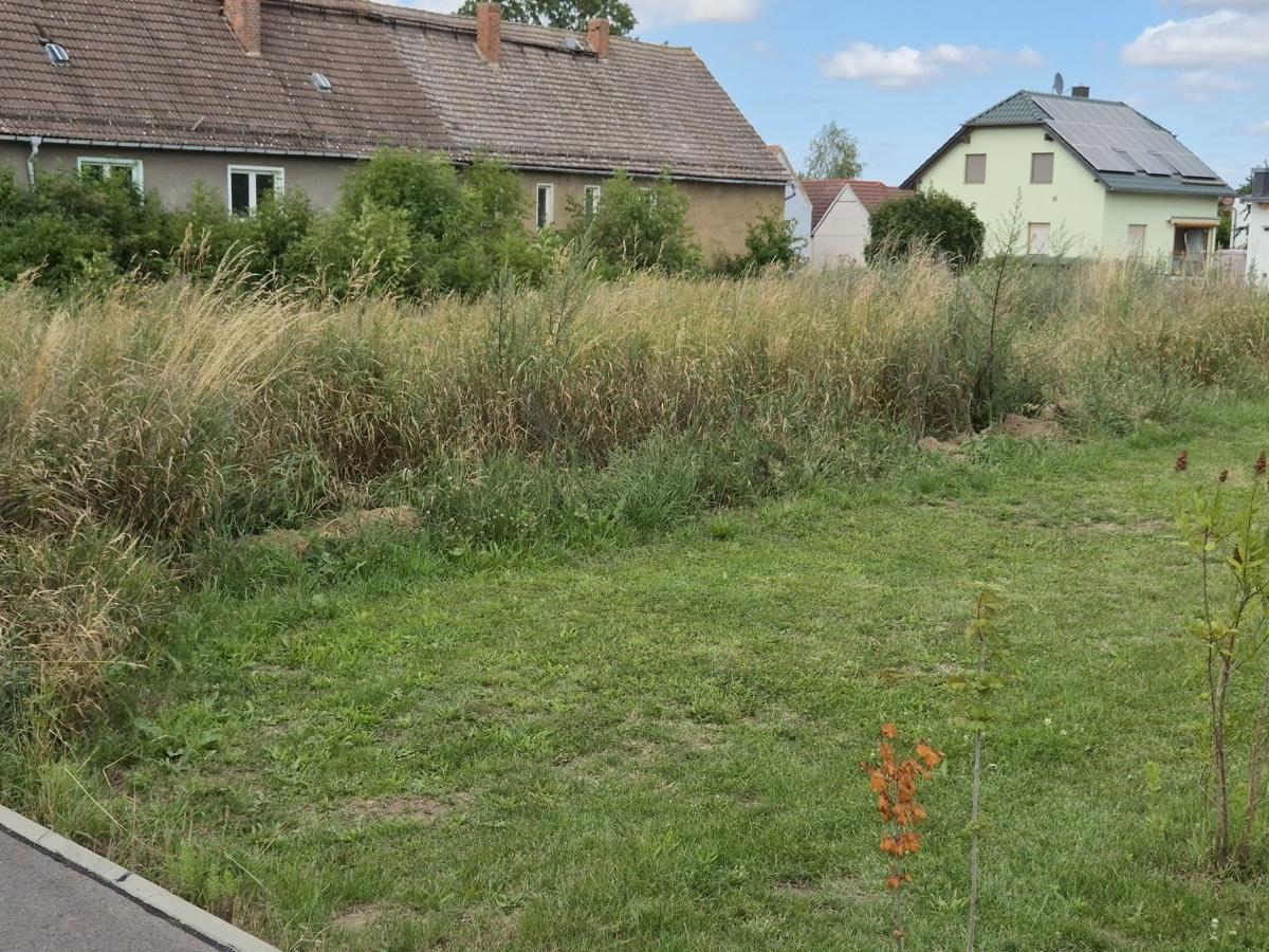 Gdstk.1 Bebauung gegenüber