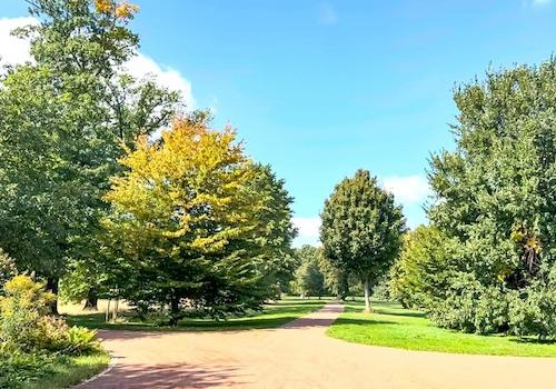 Zugang zum Stadtpark