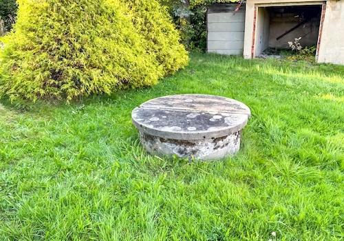 Im Garten
