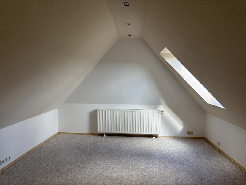 Zimmer DG 1