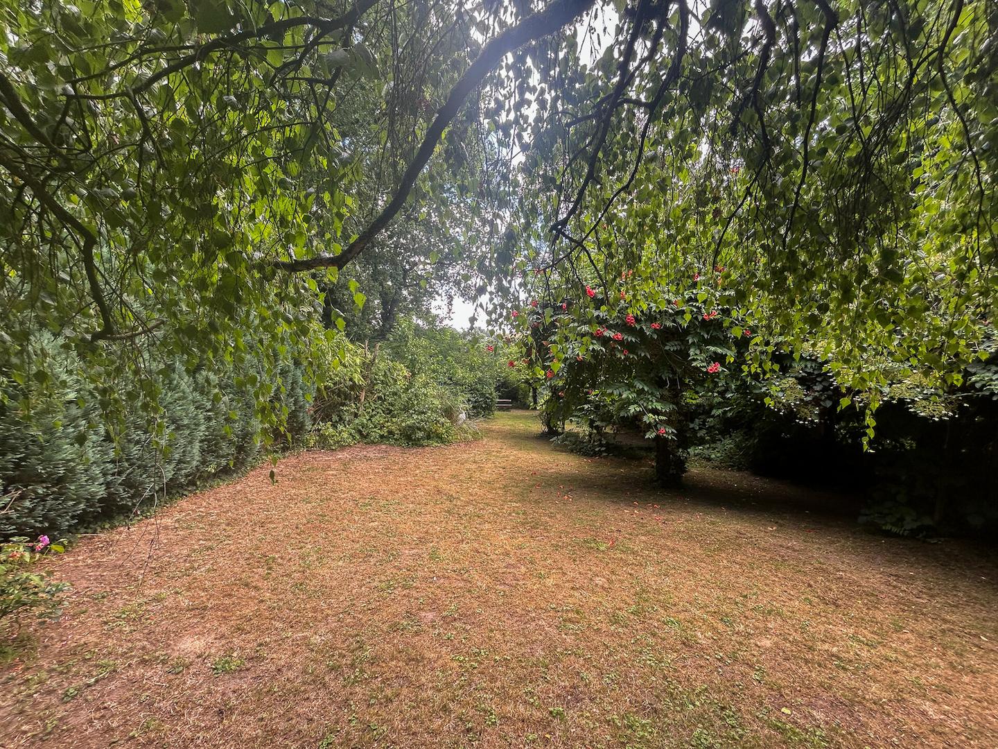 41 - Garten