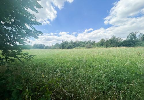 45 - Garten Weitblick