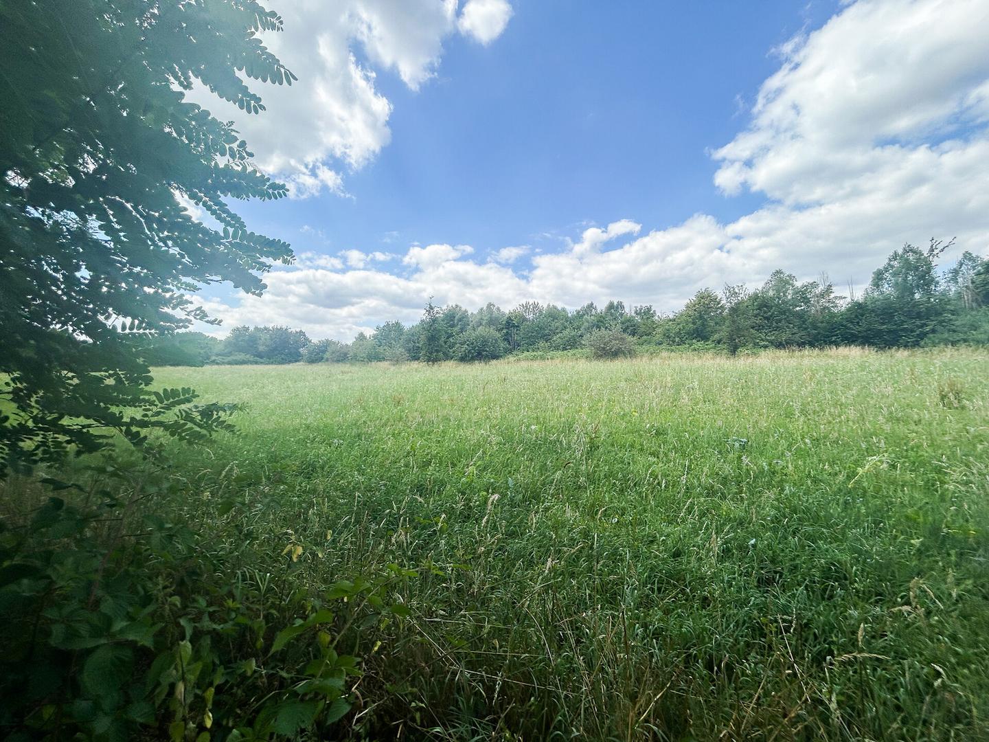 45 - Garten Weitblick