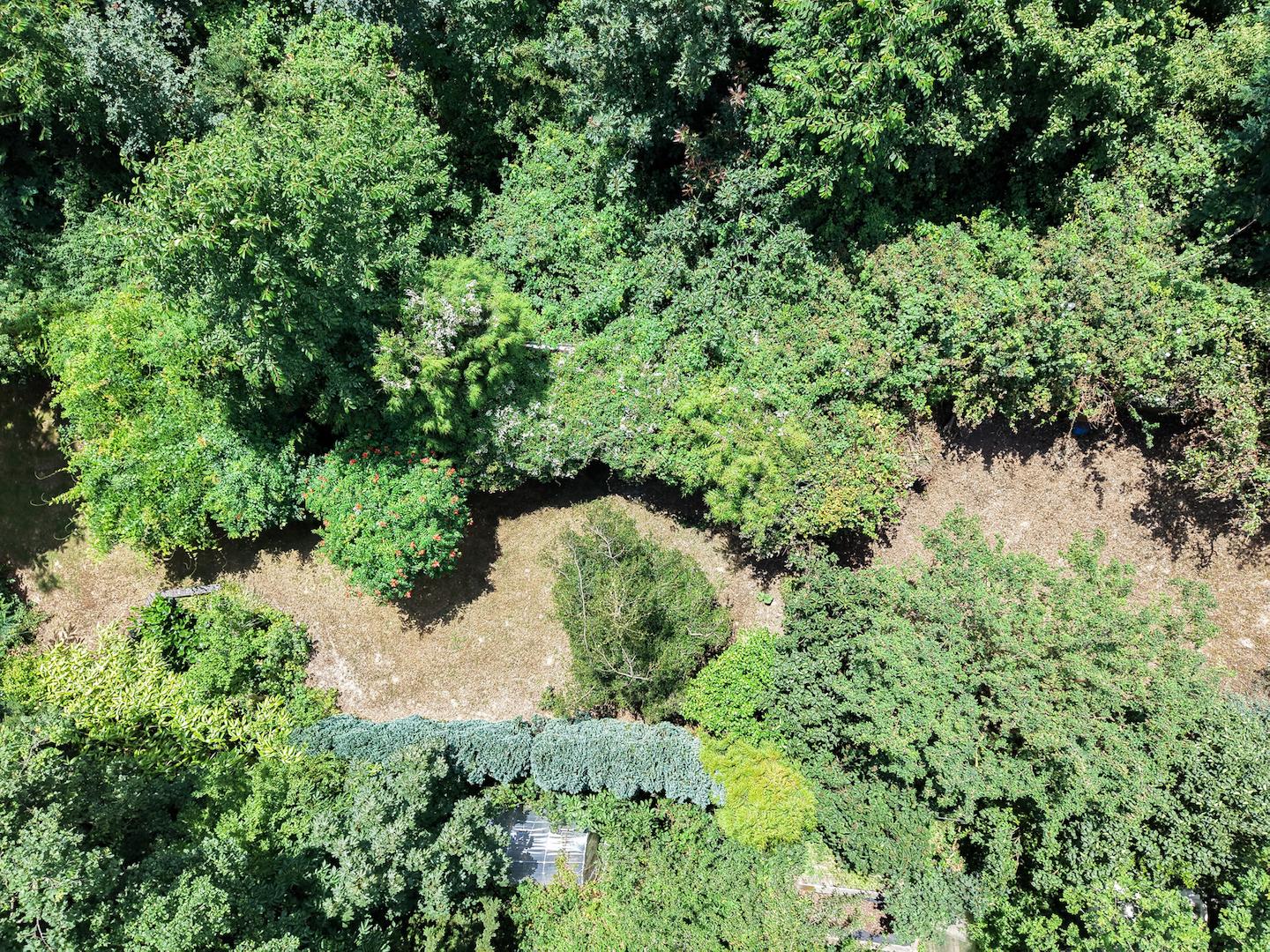 48 - Drohnenaufnahme Garten