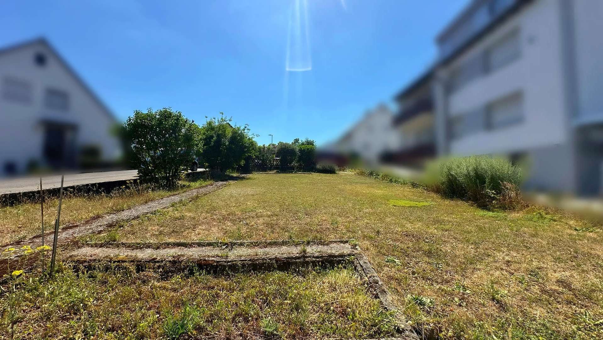 Garten (1)