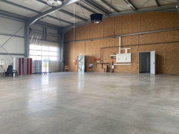 Bild/Grundriss 2