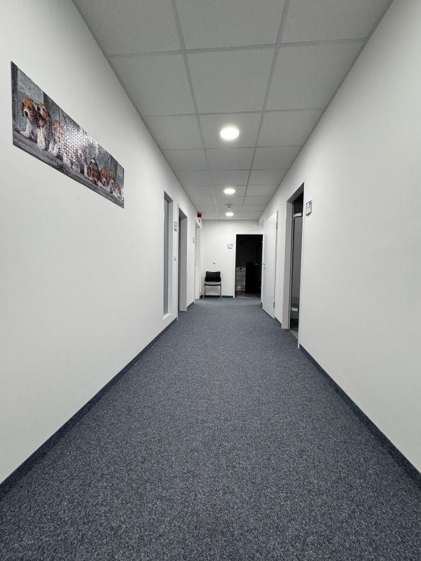 Bild/Grundriss 2