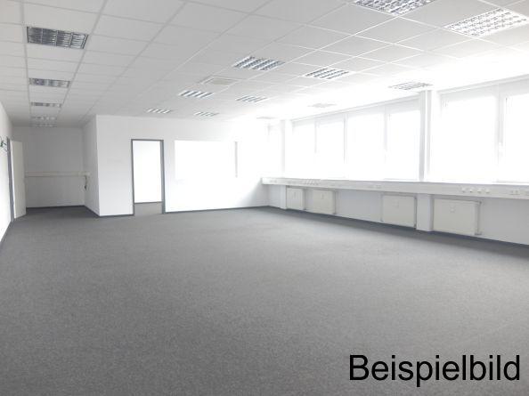 Bild/Grundriss 4