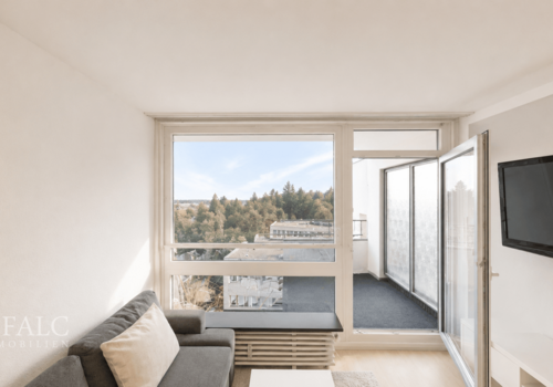 Wohnung Mitte Küche 1_1