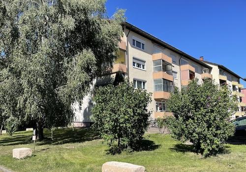 Haus