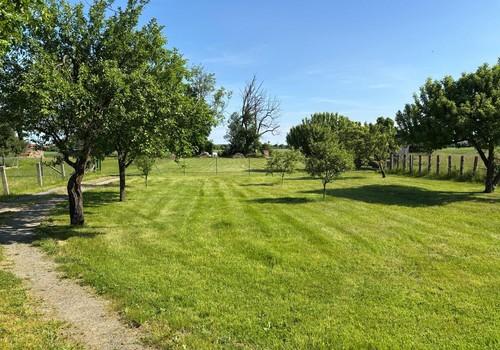 Nutzgarten und Brachwiese