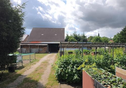 Nutzgarten