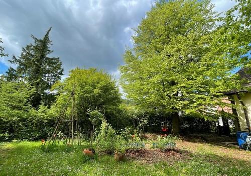 Großer Garten