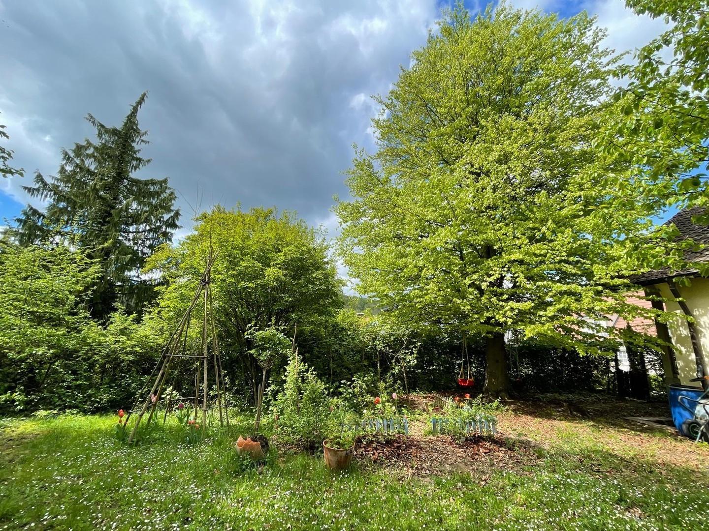 Großer Garten