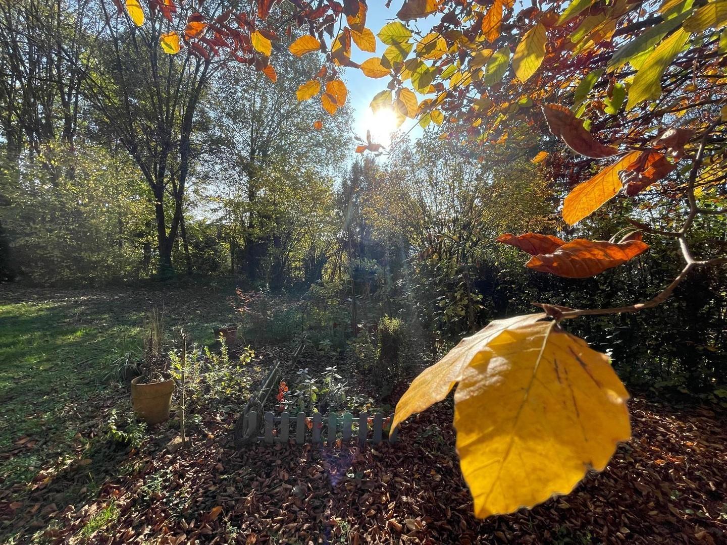 Großer Garten