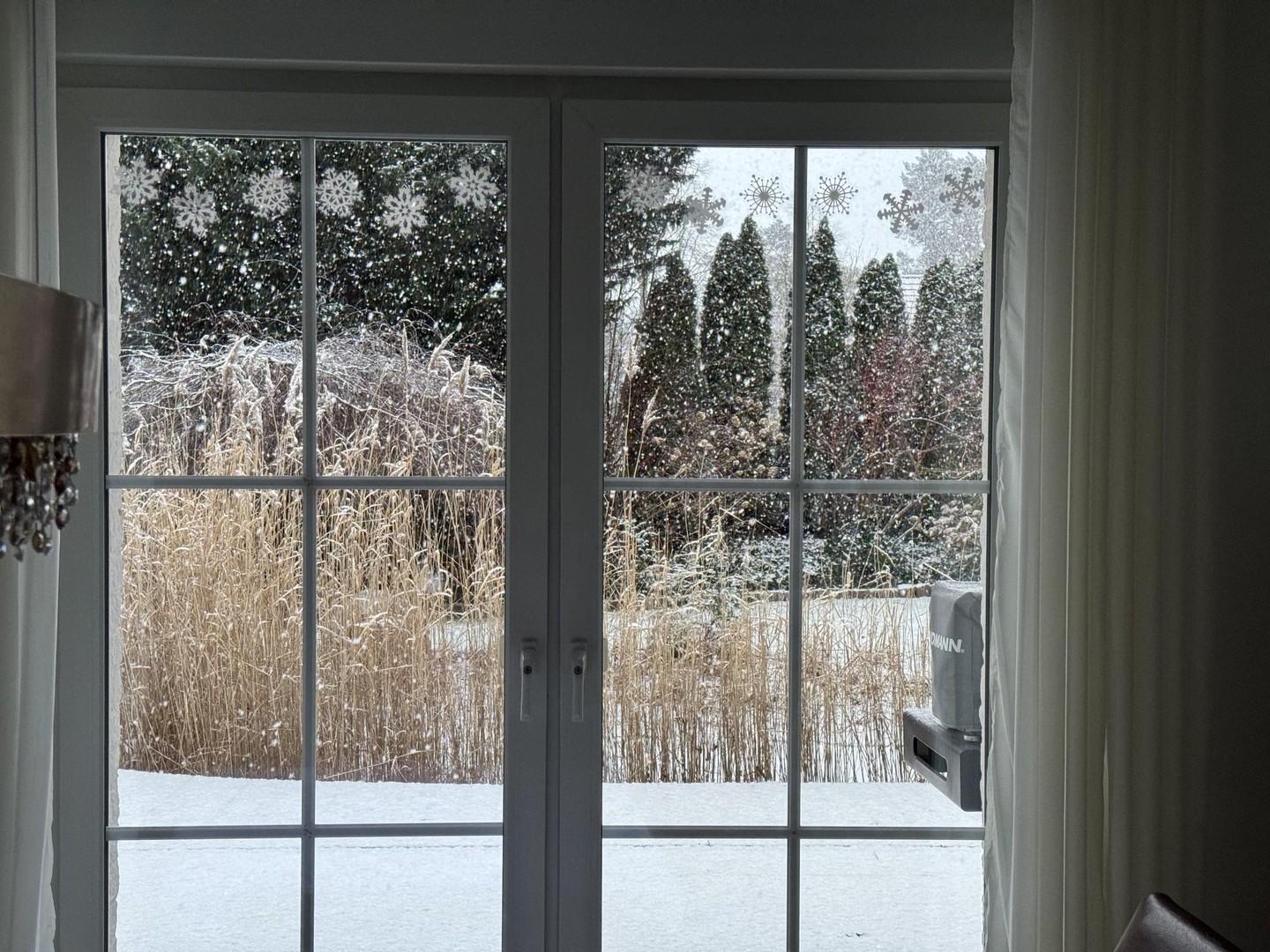 Winter Impression 