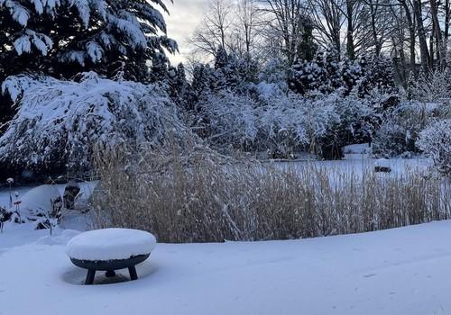 Winter Impression 