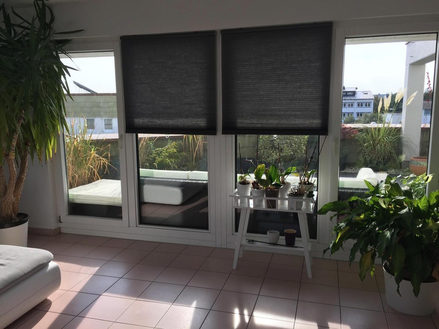 Wintergarten/Arbeitszimmer
