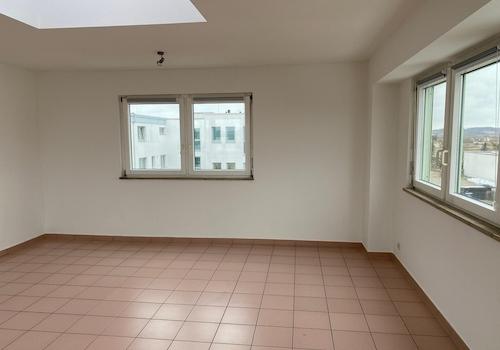 Wintergarten/Arbeitszimmer