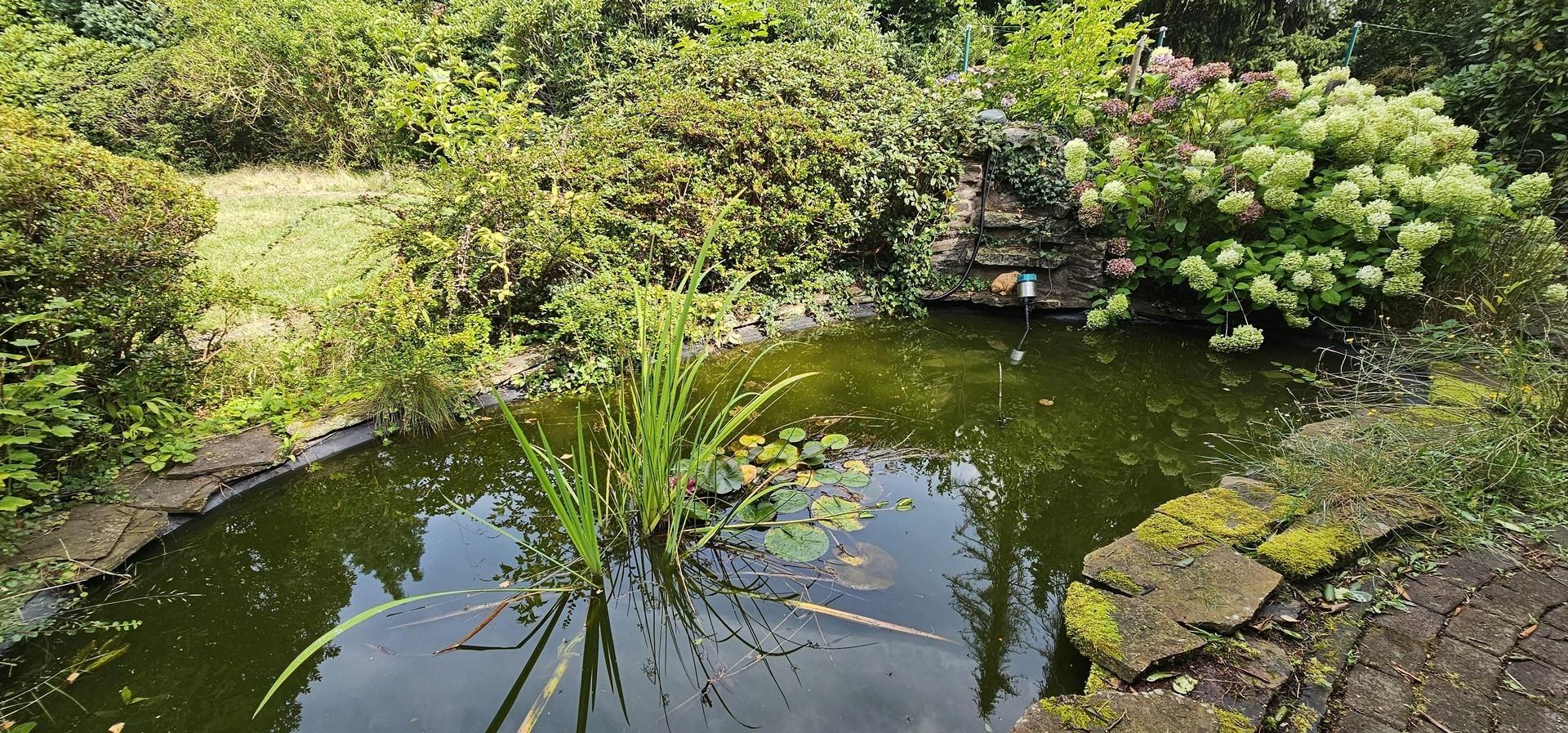 Teich