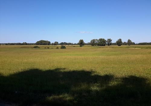 gg.über Wiesenlandschaft 