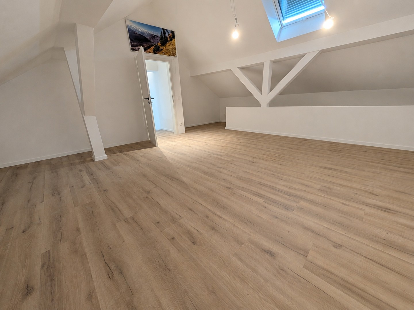Zimmer DG