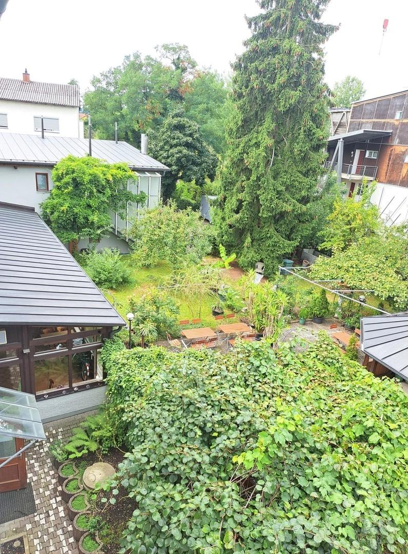 Blick in den Garten