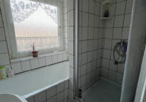 Bild6