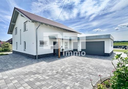 Große Zufahrt / Parkflächen vor dem Haus