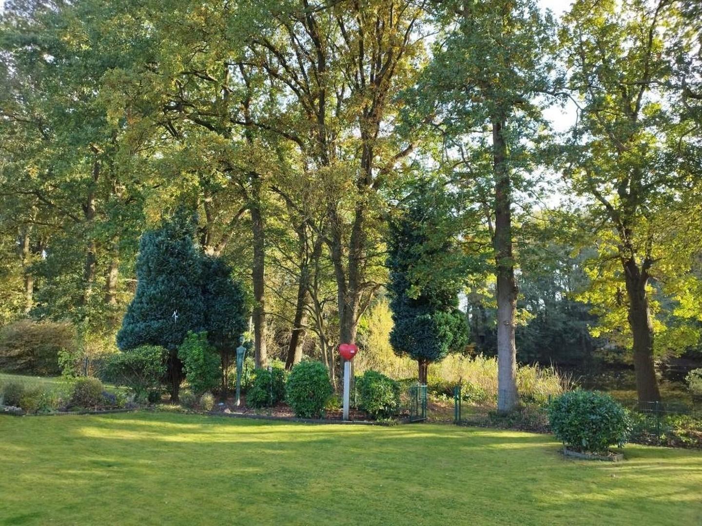 Garten mit Seeblick