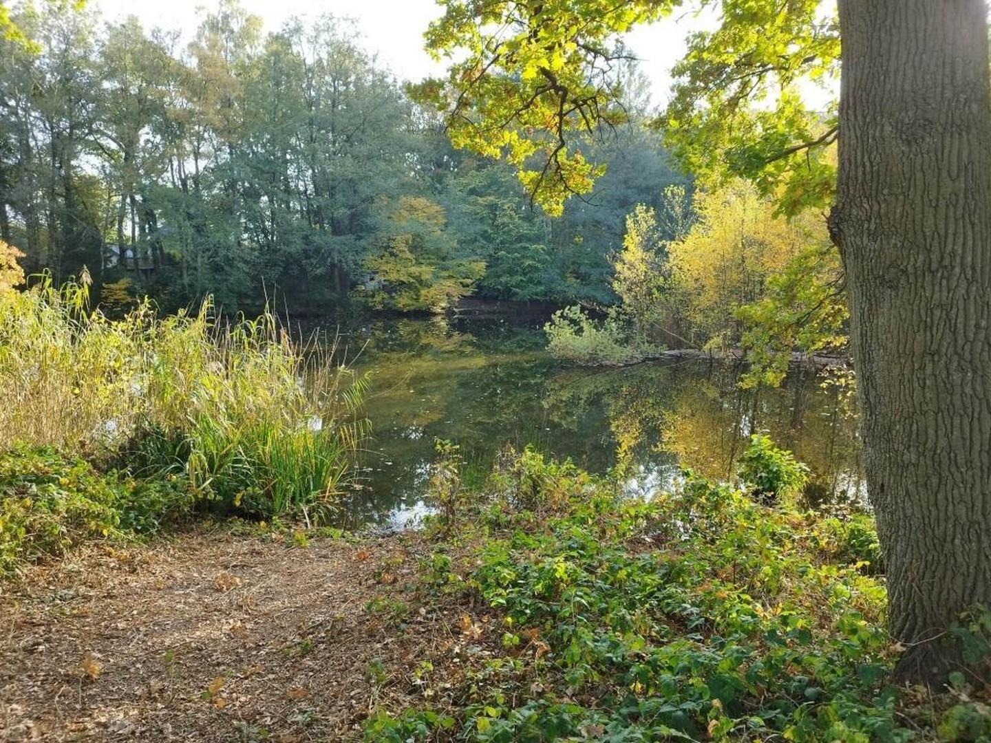 Seeblick