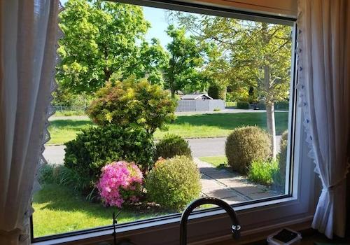 Küchenausblick