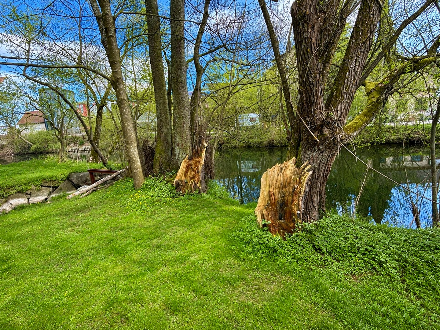 Neckar
