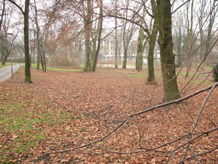 Blick Richtung Park 2
