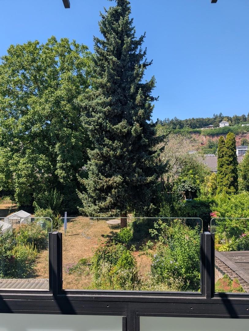 Garten des Hauses