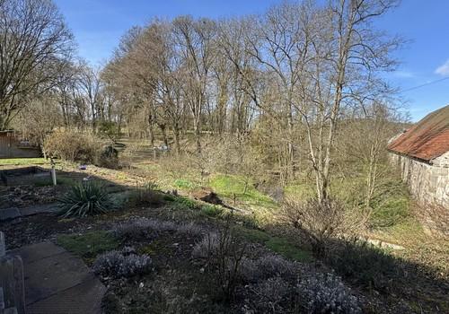 Blick in den Schloßgarten