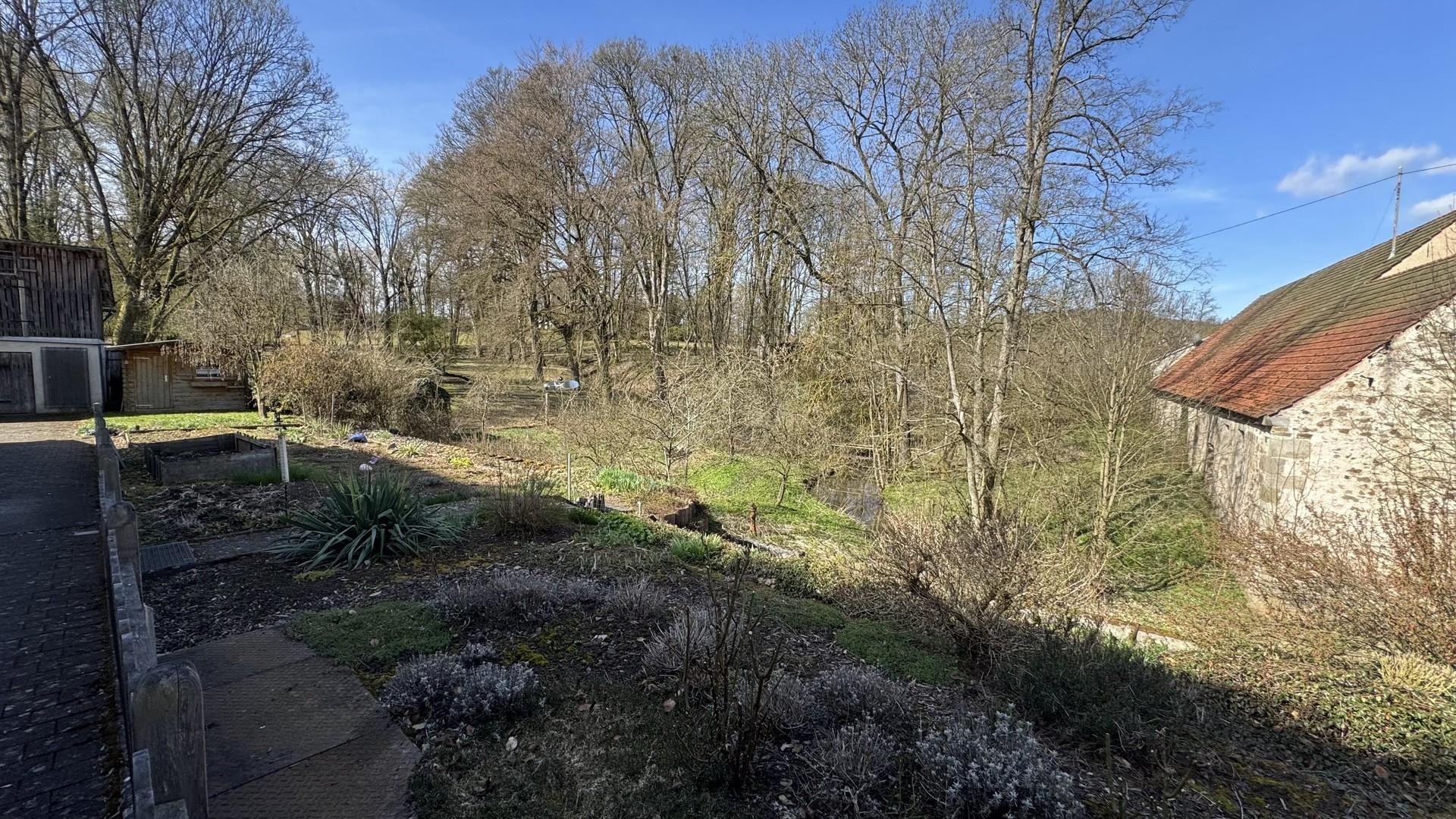 Blick in den Schloßgarten