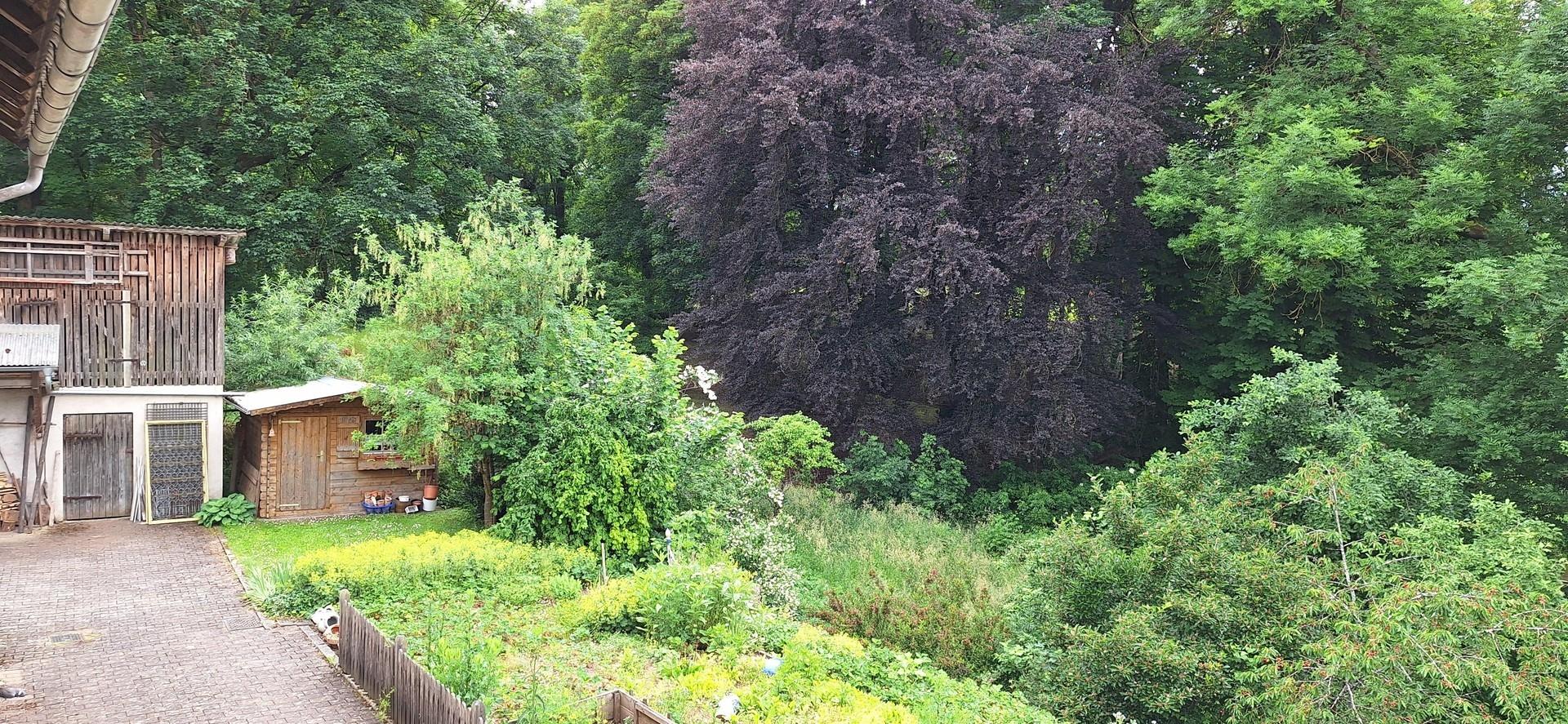 Garten 