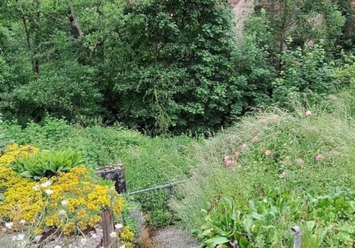 Gartenblick