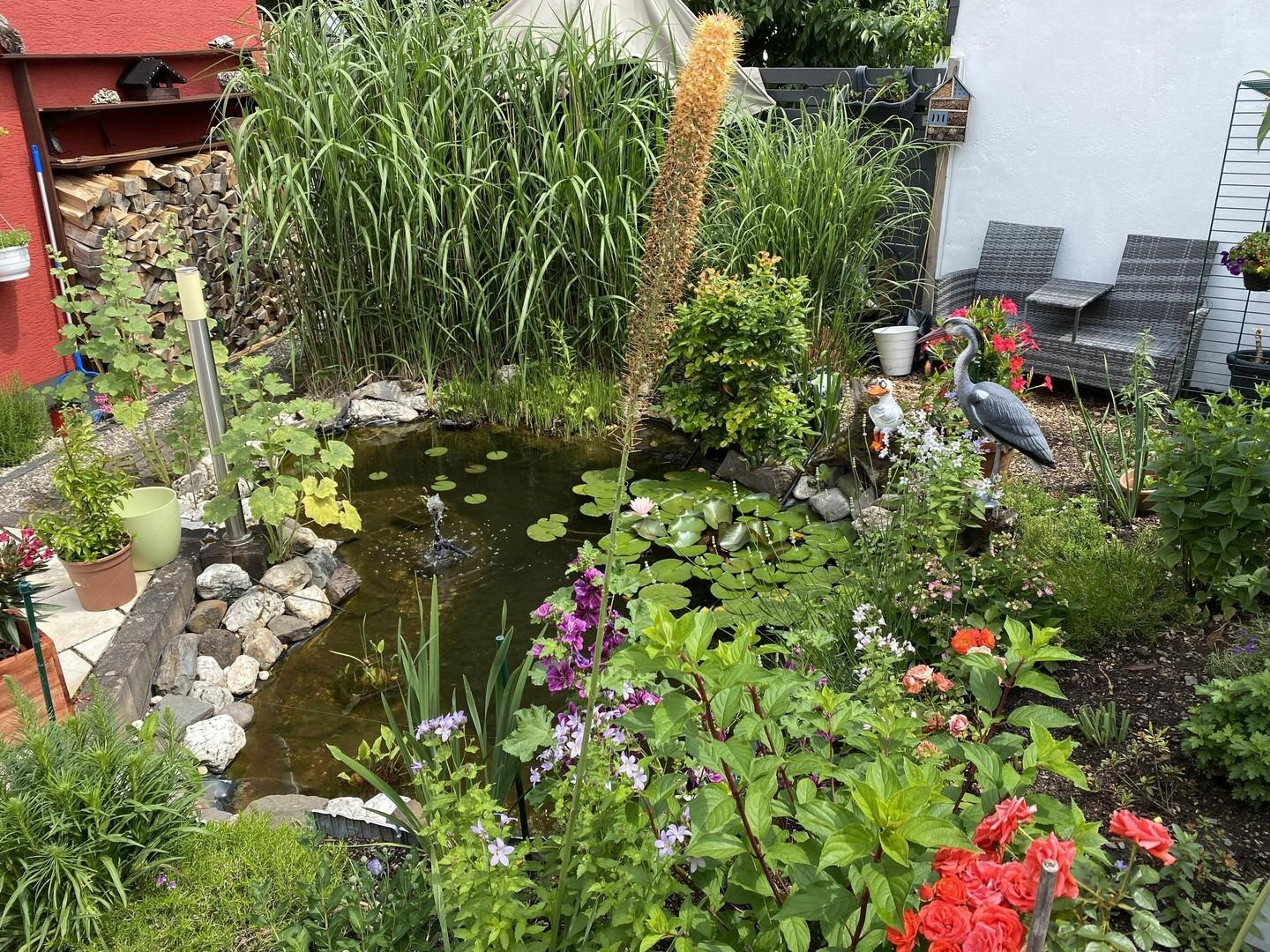 Terasse mit Teich