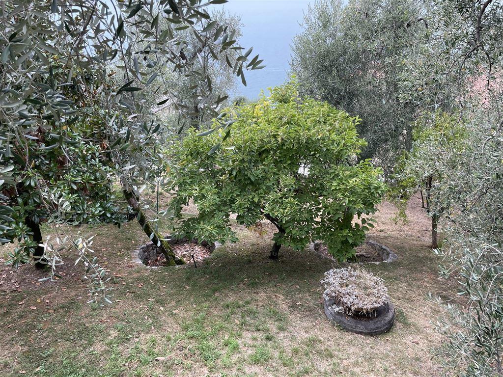 Balkongartenblick