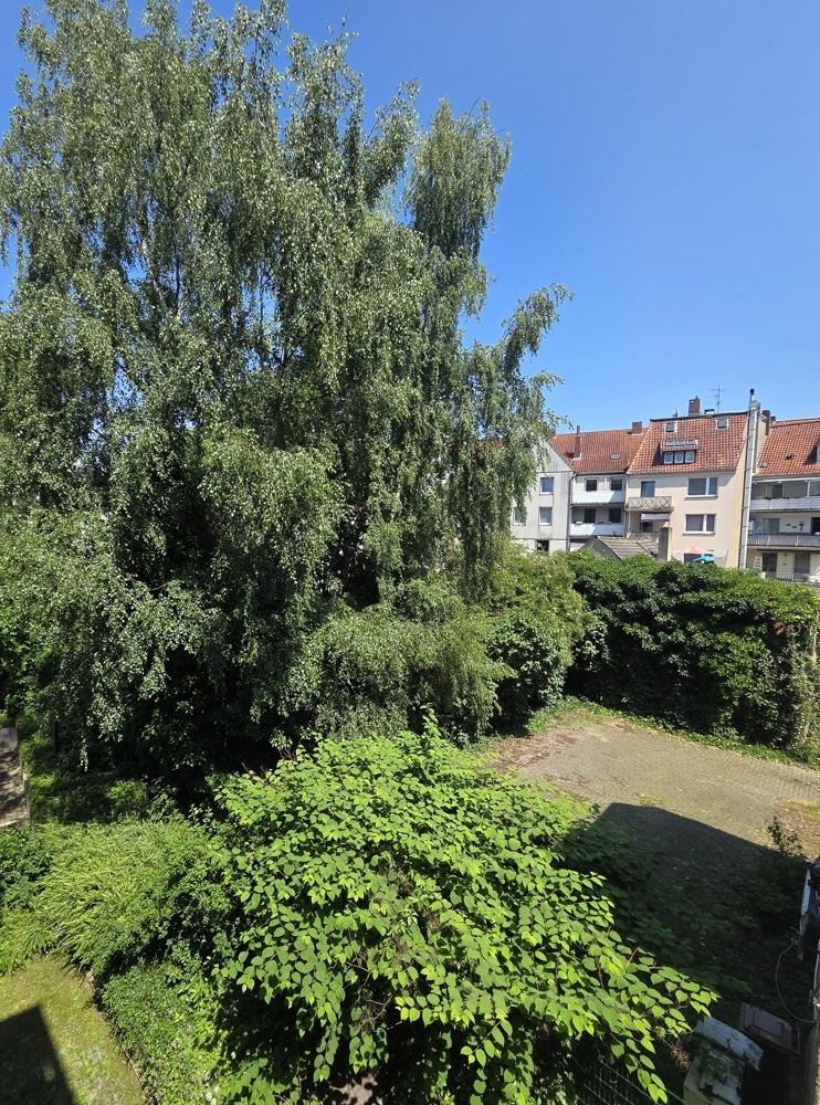 Ausblick Balkon