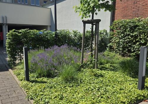 Garten2