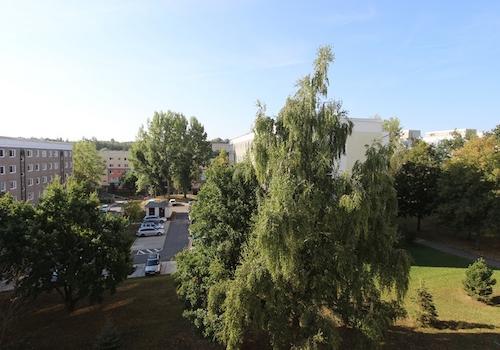 Ausblick vom Balkon