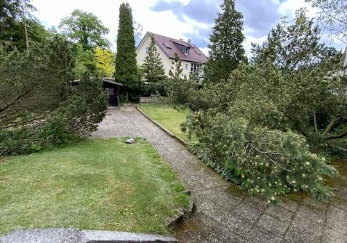 Gemeinschaftsgarten