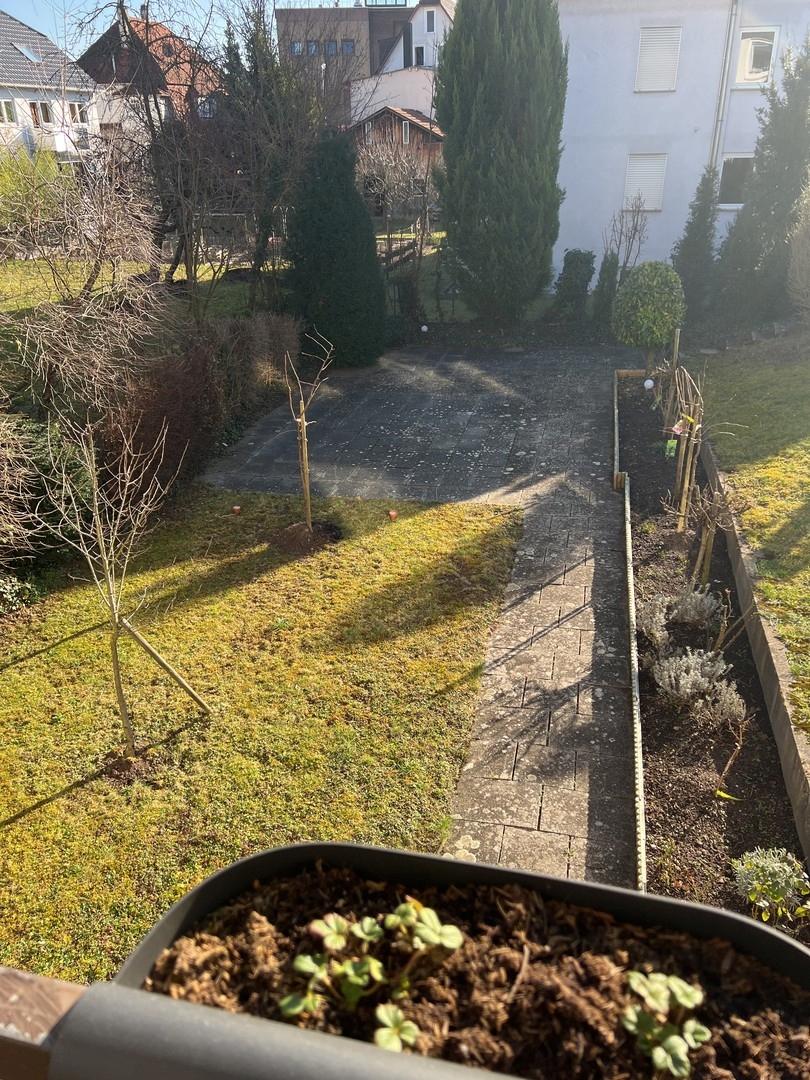 Südbalkon, Blick in den Garten